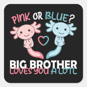 gender reveals pink or blue brother loves you lotl square sticker