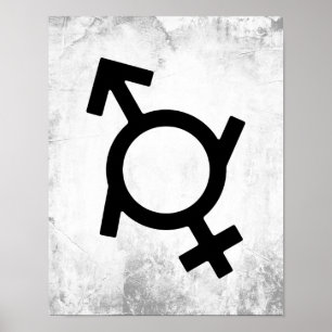 Genderfluid Female and Male Gender Symbol Poster