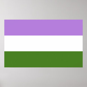 Genderqueer Pride Flag Poster