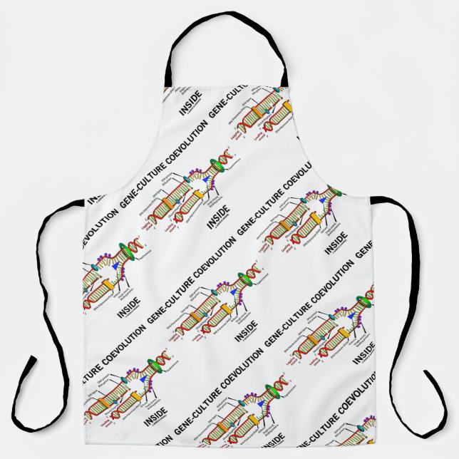 Gene-Culture Coevolution Inside DNA Replication Apron (Front)