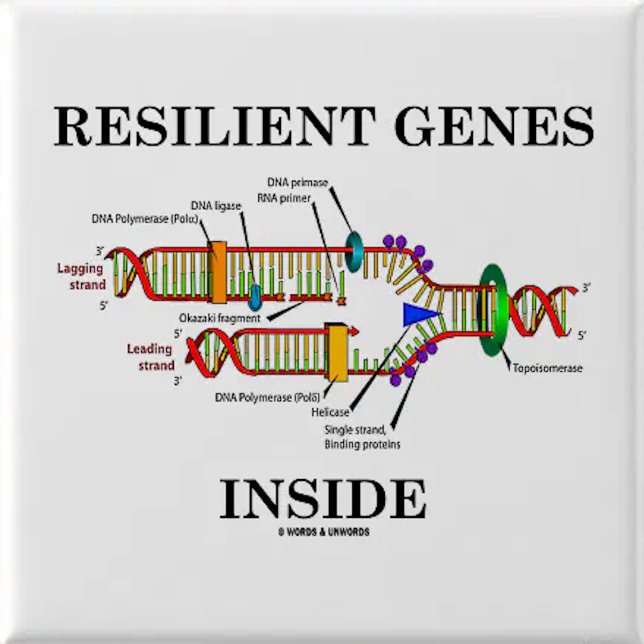 Gene Expression A Part Of Life (DNA Replication) 6 Cm Round Badge (Pinback button for any person genetically wired to be resilient)