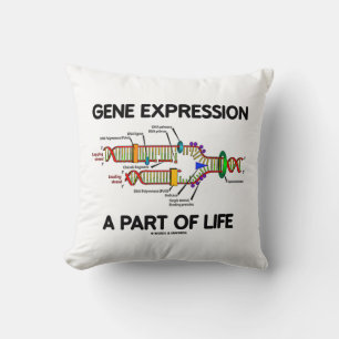 Gene Expression A Part Of Life (DNA Replication) Cushion