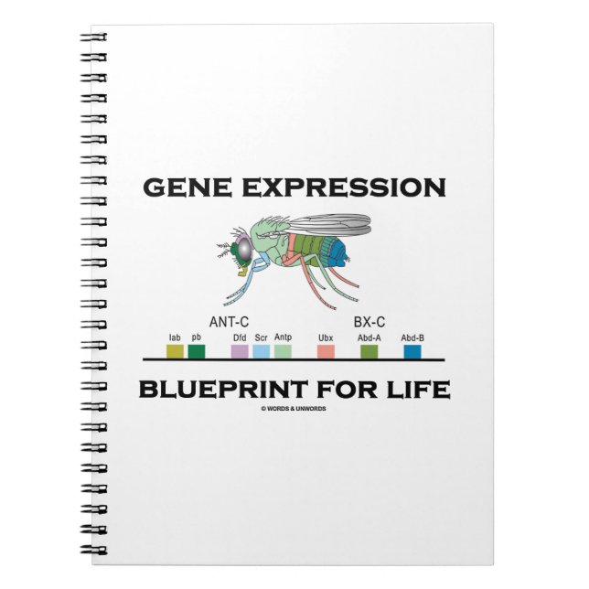 Gene Expression Blueprint For Life Homeobox Genes Notebook (Front)