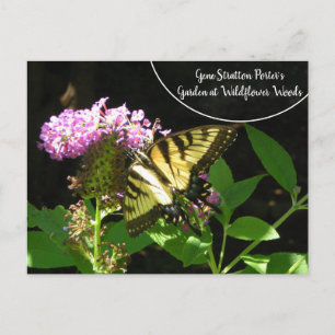 Gene Stratton Porter's Garden at Wildflower Woods Postcard