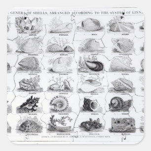 Genera of Shells jigsaw, pub. by W. Edwards Square Sticker