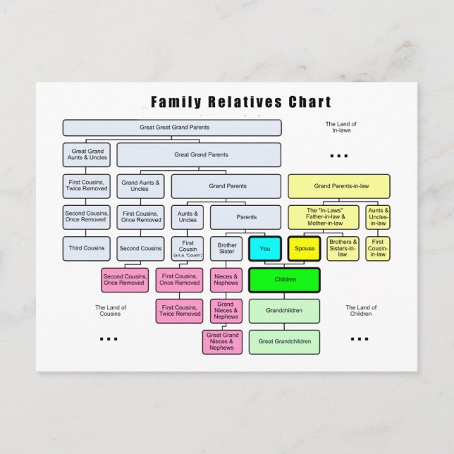 General Family Tree Organisation of Relatives Postcard (Front)