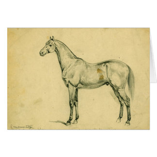 General Grant's War Horse