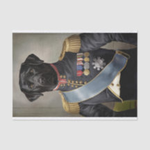 General Murphy, Black Lab in Military Uniform