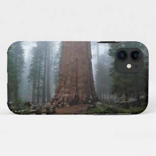 General Sherman Tree, Sequoia, CA iPhone 11 Case