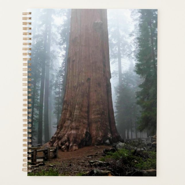 General Sherman Tree, Sequoia, CA Planner (Front)