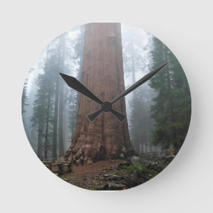 General Sherman Tree, Sequoia, CA Round Clock