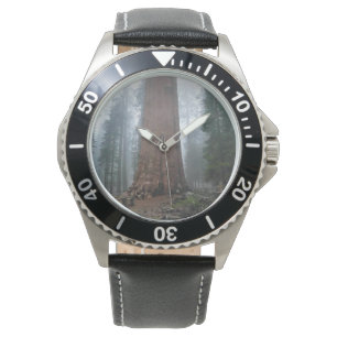 General Sherman Tree, Sequoia, CA Watch