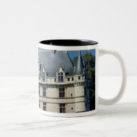 General view of the Chateau d'Azay-le-Rideau