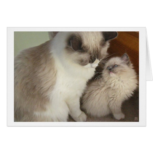 Generations (Front Horizontal)