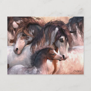 Generations Postcard