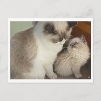 Generations Postcard