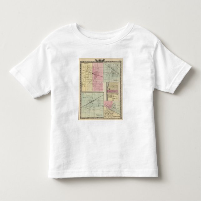 Geneseo, Kewanee, Cambridge, Fulton and Morrison Toddler T-Shirt (Front)