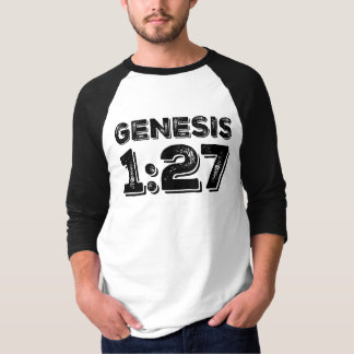 Genesis 1:27 Distressed Bible Baseball Raglan T-Shirt