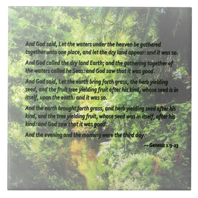Genesis 1 9-13 ... let the dry land appear tile (Front)