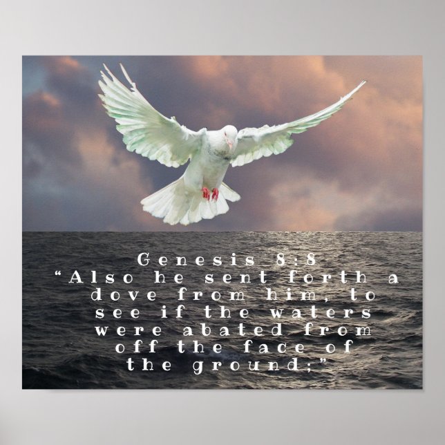 GENESIS 8:8 POSTER (Front)