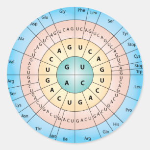 Genetic Code Classic Round Sticker