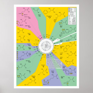 Genetic Code Diagram Showing Amino Acid Residues Poster