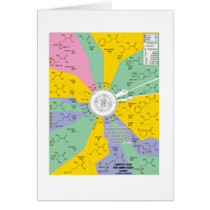 Genetic Code For Amino Acids (Chart Wheel)