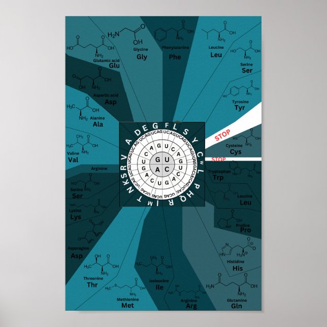 Genetic codon chart wheel of amino acids blue (Front)
