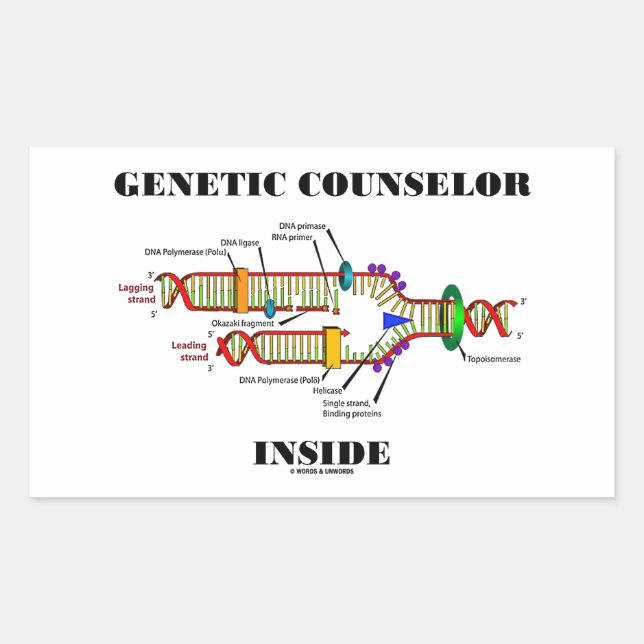 Genetic Counsellor Inside (DNA Replication) Rectangular Sticker (Front)