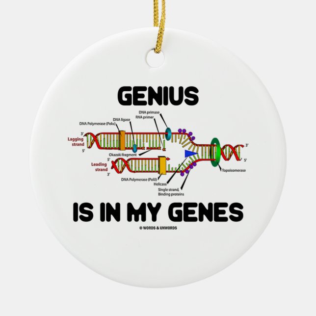 Genius Is In My Genes DNA Replication Humour Ceramic Ornament (Front)