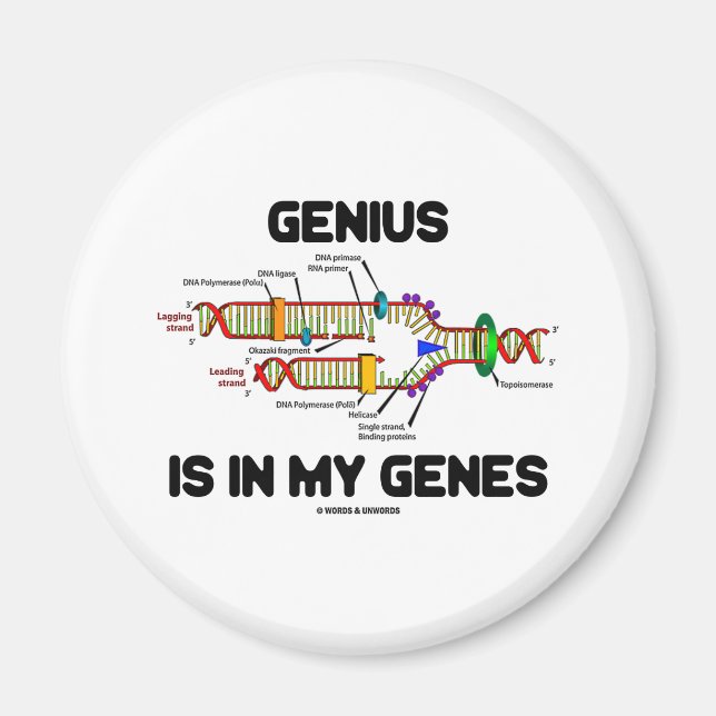 Genius Is In My Genes (DNA Replication) Magnet (Front)