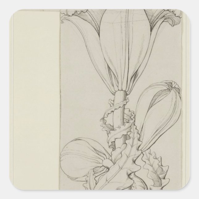 Genius of the Lily, 1809 Square Sticker (Front)