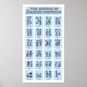 Genome of a Sock Puppet Poster