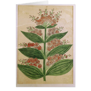 Gentian with imaginary flowers