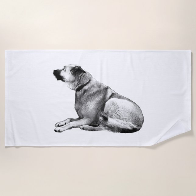Gentle Alpine Calm Beach Towel (Front)