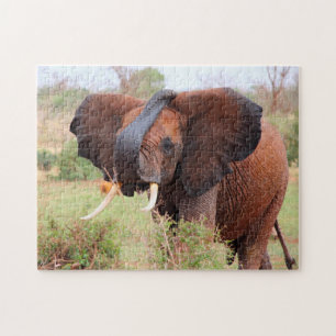Gentle Beasts of the Plains.Elephants Jigsaw Puzzle