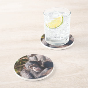 Gentle Beginnings – Chimpanzee Love Coaster
