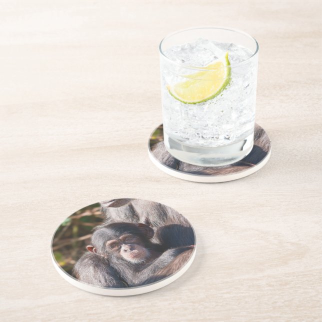 Gentle Beginnings – Chimpanzee Love Coaster (Side)