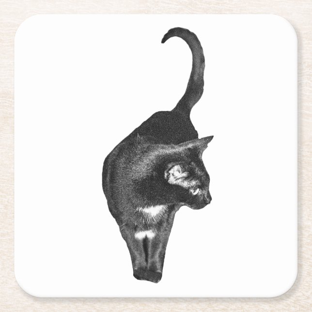 Gentle Cat Accent Square Paper Coaster (Front)