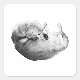 Gentle Companion Square Sticker