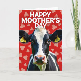 Gentle Cow Mothers Day Card