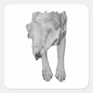 Gentle Dog, Cosy Season Square Sticker