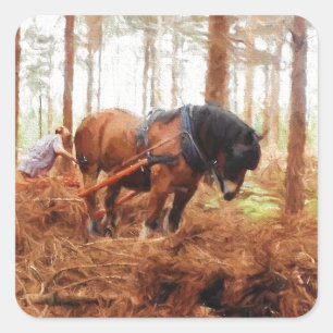 Gentle Giant - Draught Horse Hauling Logs in Fores Square Sticker