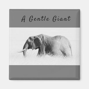 Gentle Giant Elephant high key photo with text Magnet