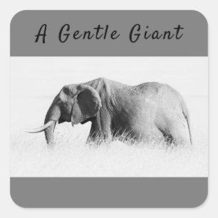 Gentle Giant Elephant high key photo with text Square Sticker