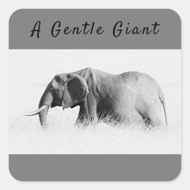 Gentle Giant Elephant high key photo with text Square Sticker (Front)