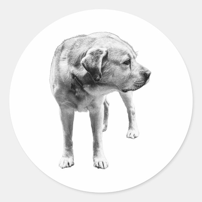 Gentle Lab – Devoted Heart Classic Round Sticker (Front)