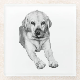 Gentle Lab lick coaster