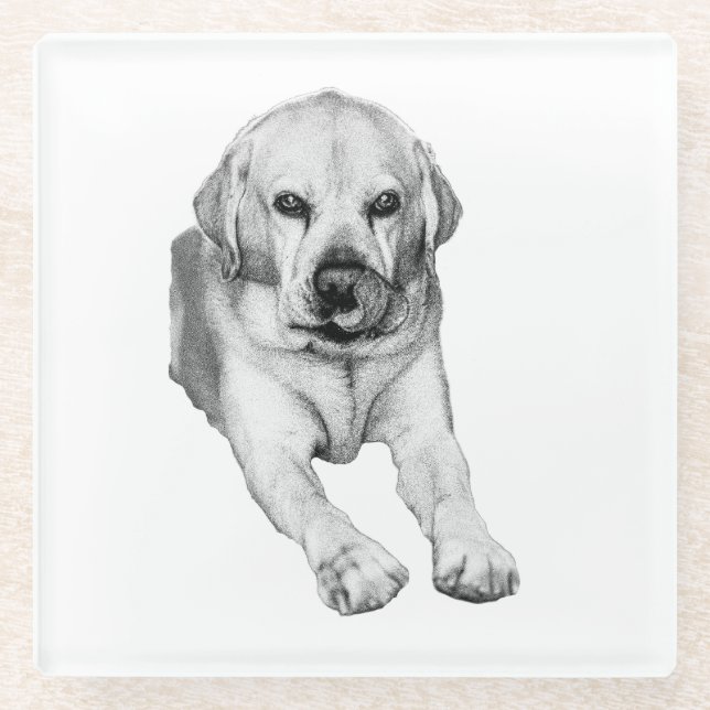 Gentle Lab lick coaster (Front)