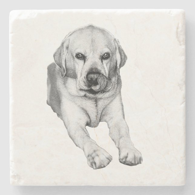 Gentle Lab lick coaster (Front)